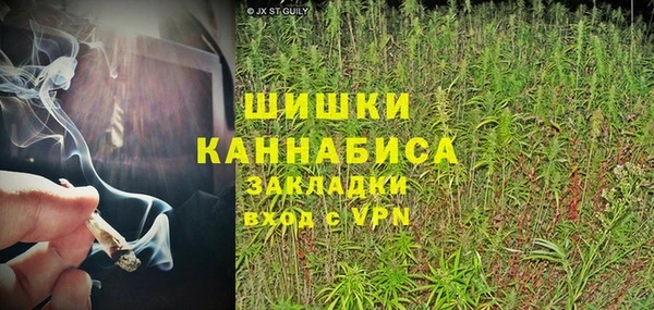 ПСИЛОЦИБИНОВЫЕ ГРИБЫ Волосово