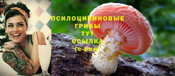 ALPHA-PVP Володарск
