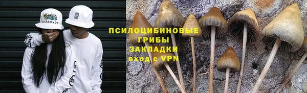 Альфа ПВП Волоколамск