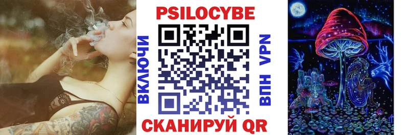 Галлюциногенные грибы Psilocybe  купить   Янаул 